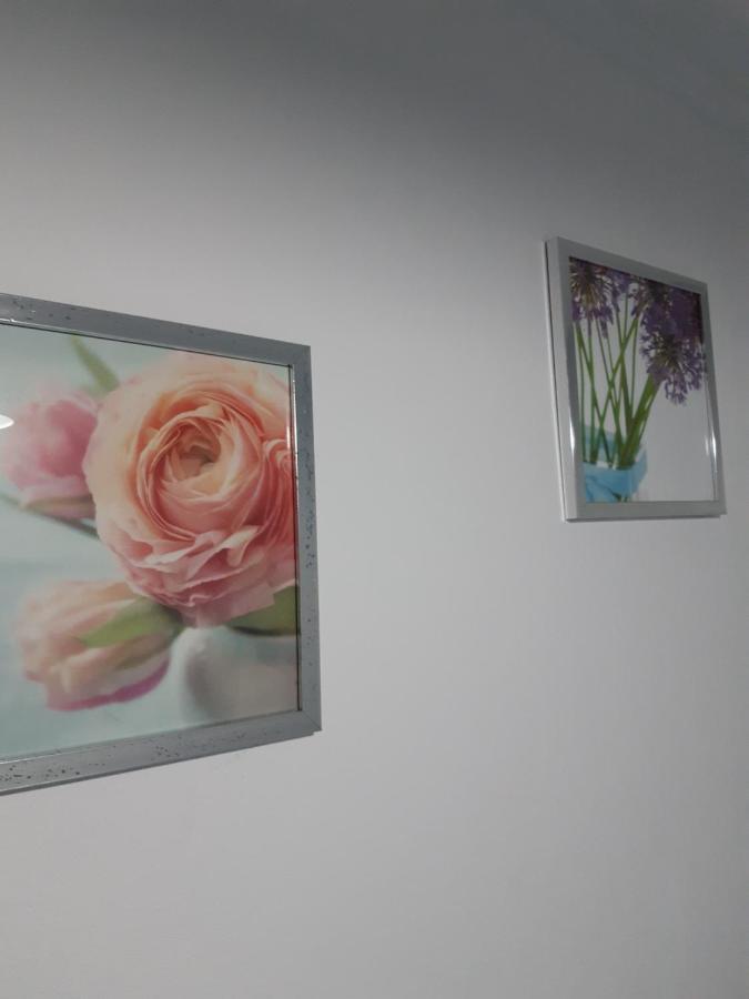 Apartamento Piquinho マシコ エクステリア 写真